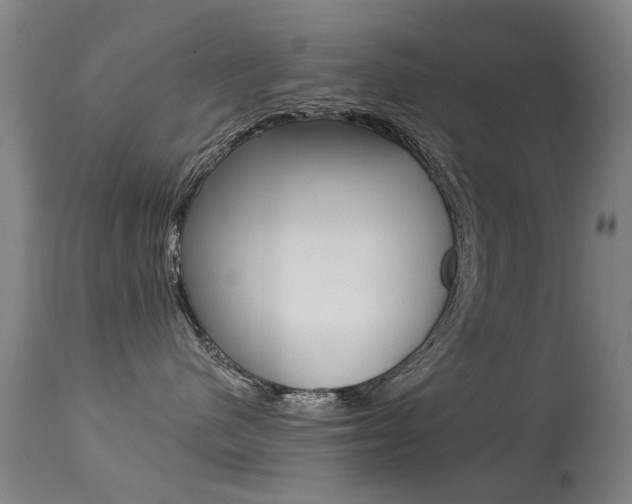 X0000113280480200909140945
