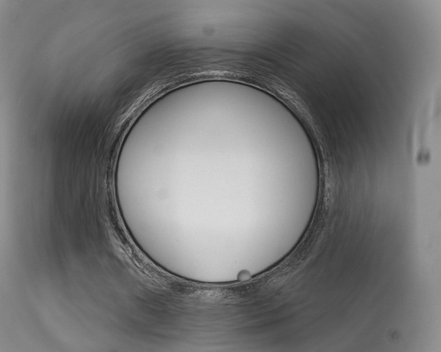 X0000113280482200909140945