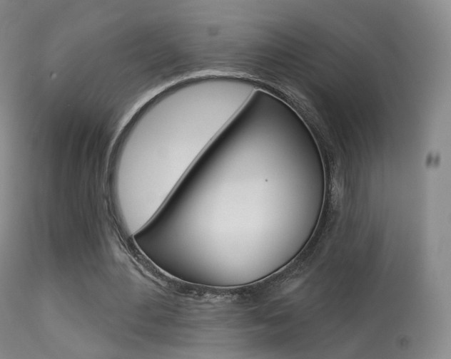 X0000113280484200909140944