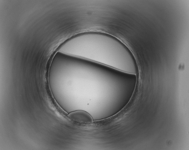 X0000113280485200909140944