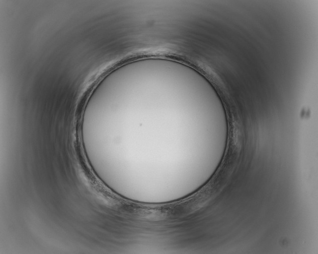 X0000113280486200909140944