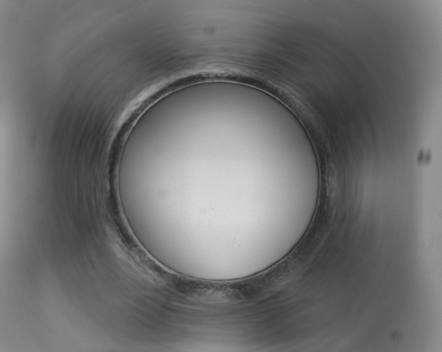 X0000113280488200909140944