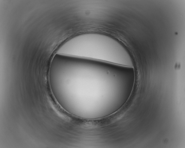 X0000113280489200909140944