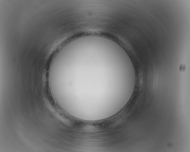 X0000113280494200909140944