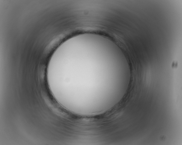 X0000113280495200909140944