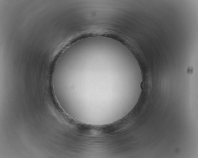 X0000113280496200909140944