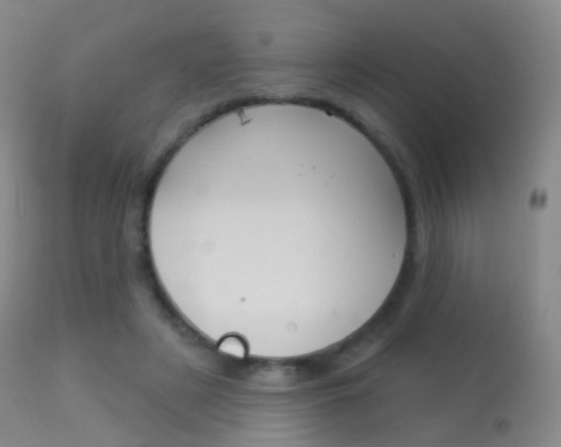 X0000113280497200909140944