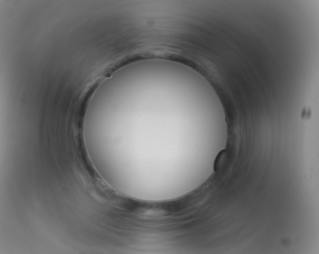 X0000113280500200909140944