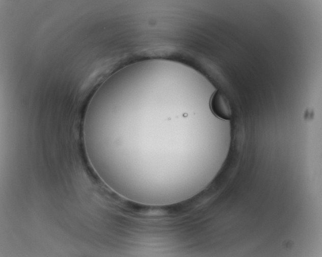 X0000113280501200909140944