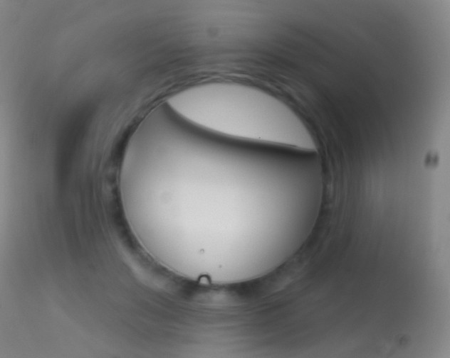 X0000113280503200909140944