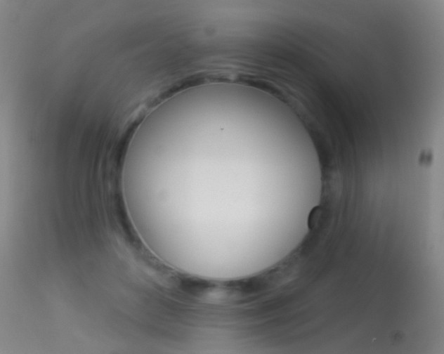 X0000113280504200909140944