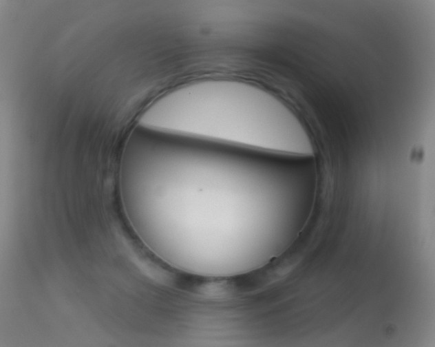 X0000113280505200909140944