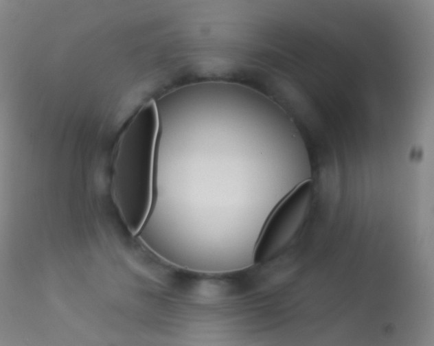 X0000113280508200909140944