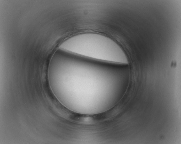 X0000113280509200909140944