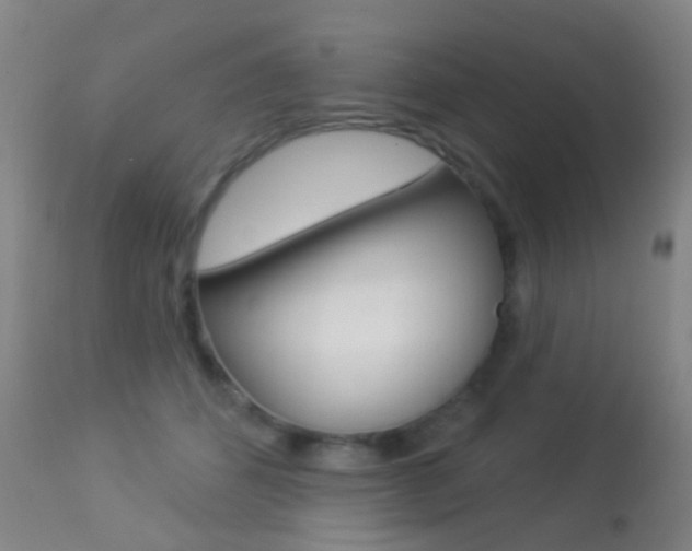 X0000113280512200909140944