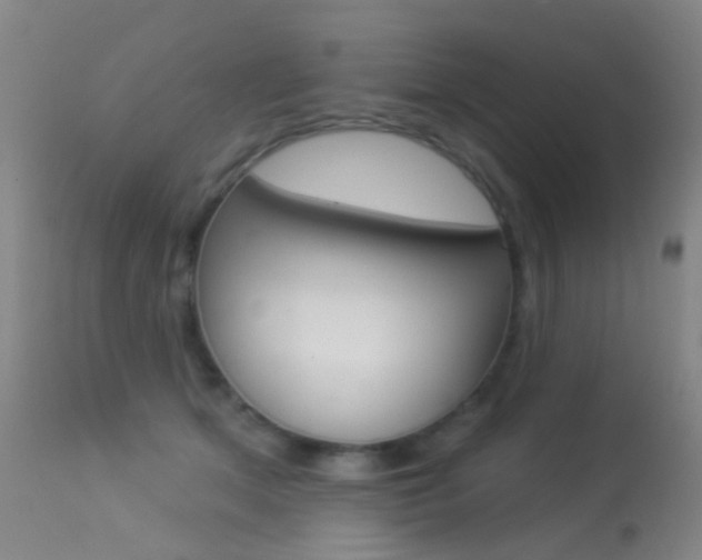 X0000113280513200909140944