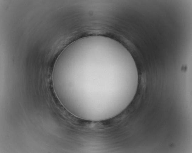 X0000113280517200909140944