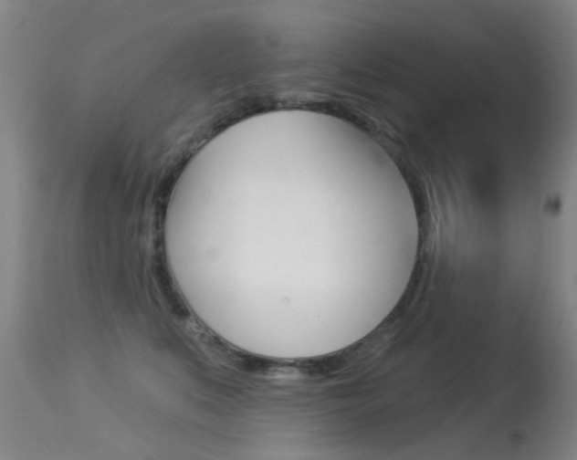 X0000113280519200909140944