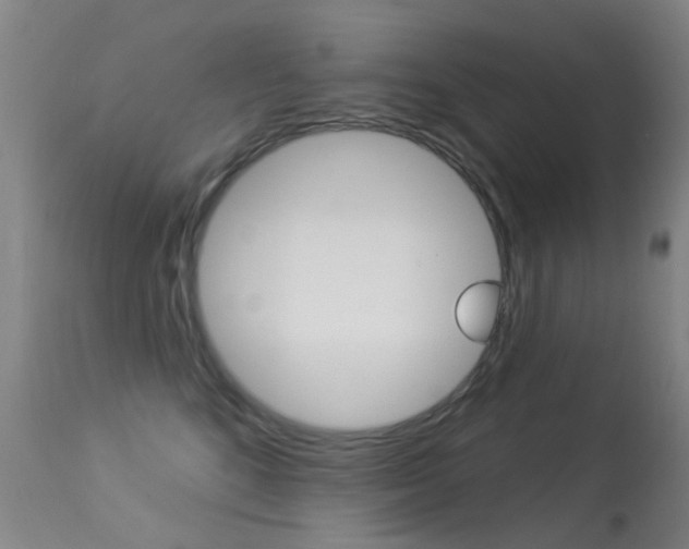 X0000113280520200909140944