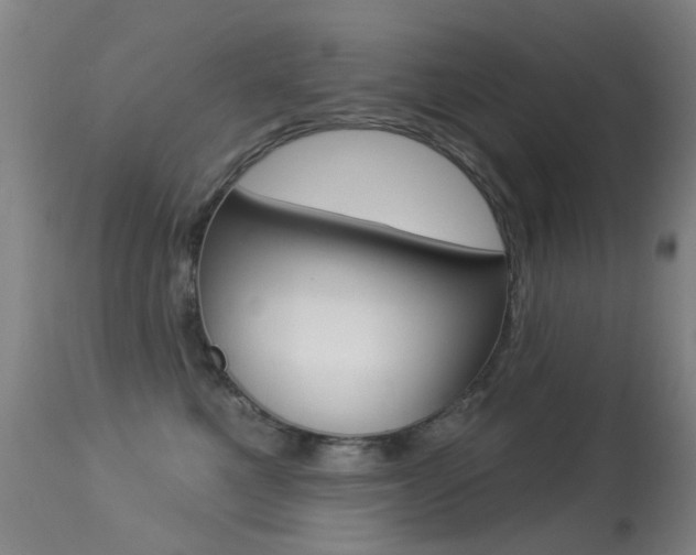 X0000113280521200909140944