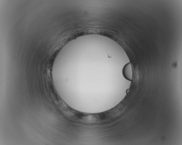 X0000113280522200909140944