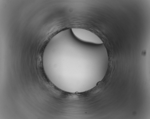 X0000113280523200909140944