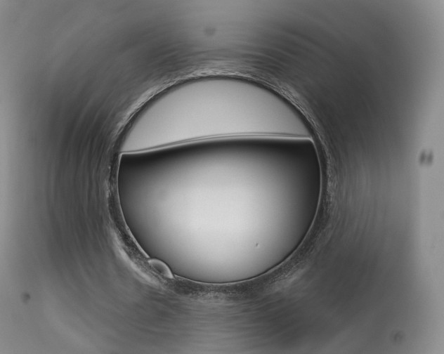 X0000113280530200909140943