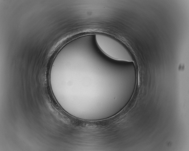 X0000113280531200909140943
