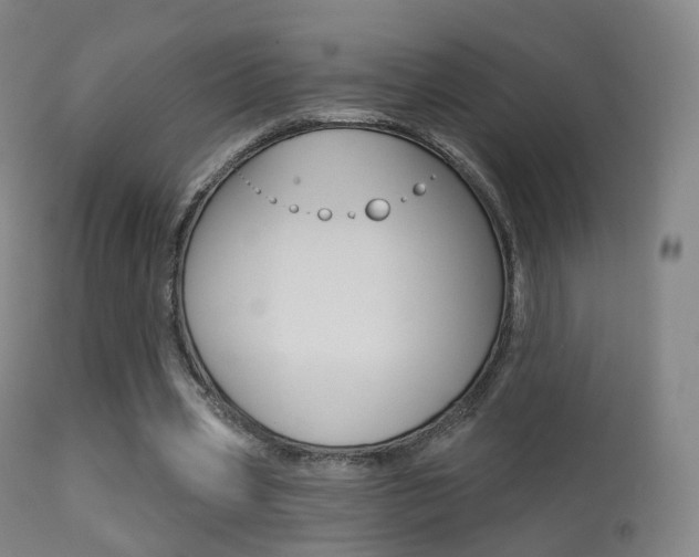 X0000113280533200909140943