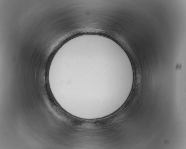 X0000113280534200909140943