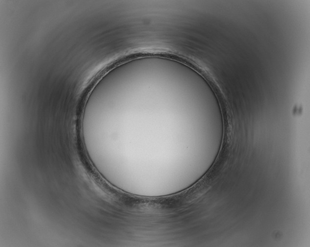 X0000113280535200909140943
