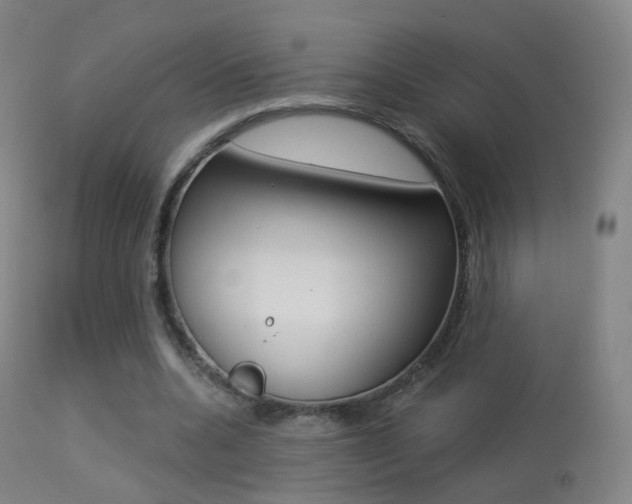 X0000113280536200909140943