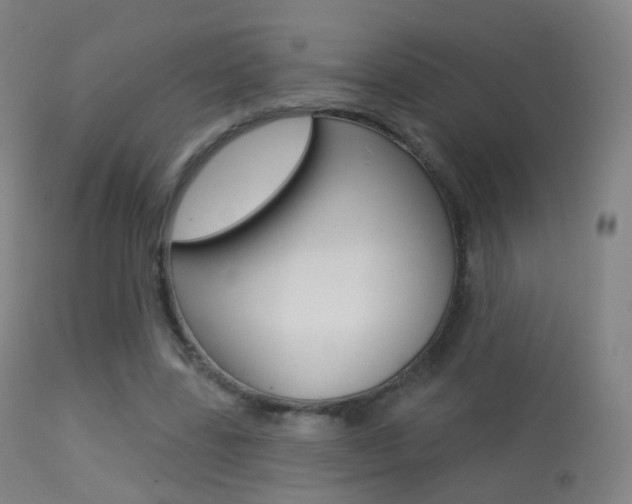 X0000113280539200909140943