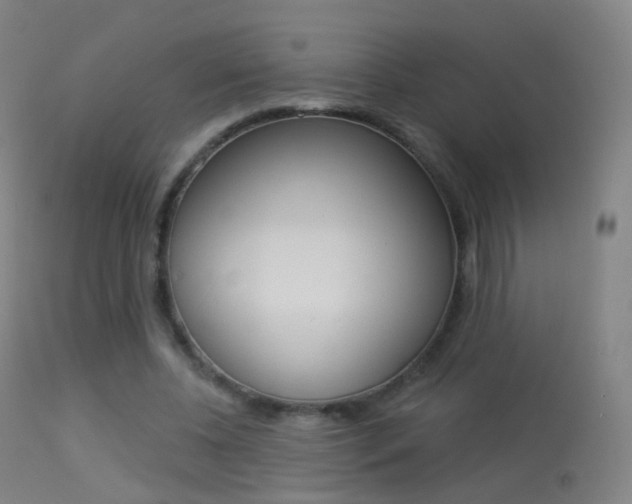 X0000113280540200909140943