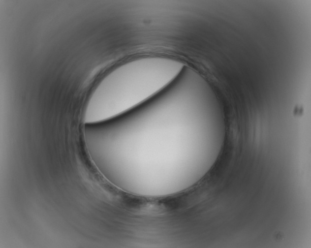 X0000113280543200909140943