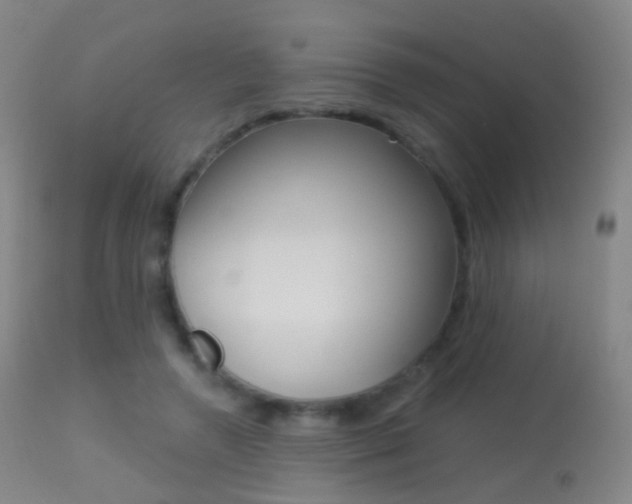 X0000113280546200909140943