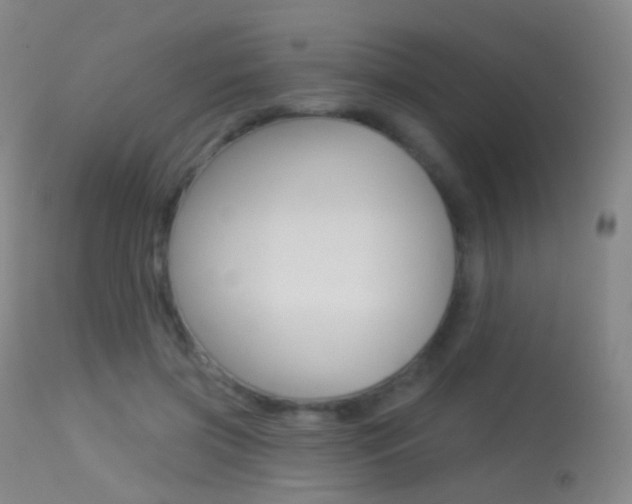 X0000113280549200909140943