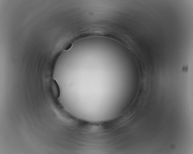 X0000113280552200909140943