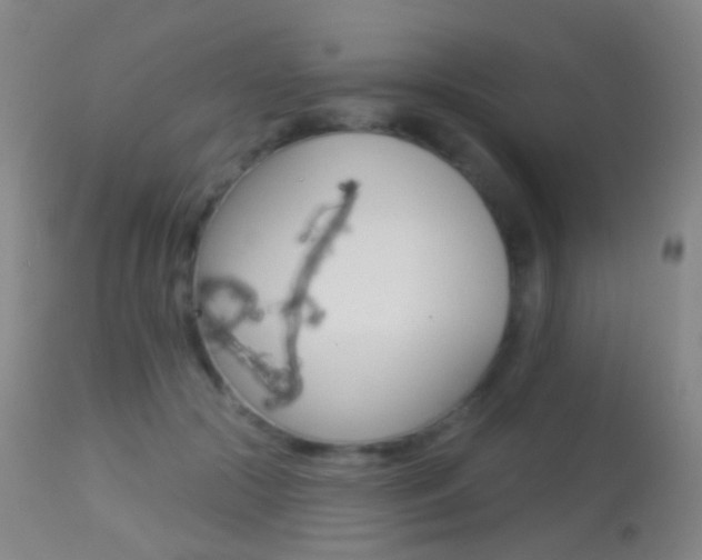 X0000113280553200909140943