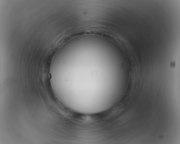 X0000113280558200909140943