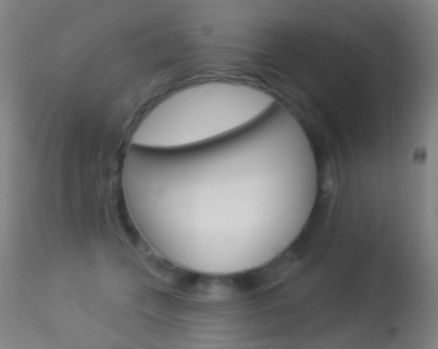 X0000113280559200909140943