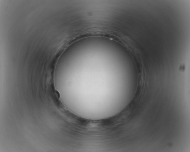 X0000113280560200909140943