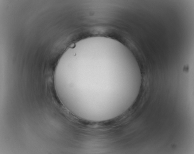 X0000113280561200909140943