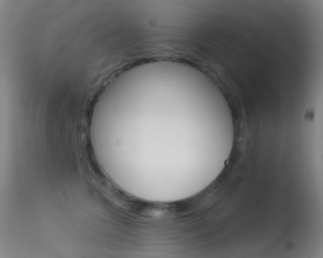 X0000113280563200909140944
