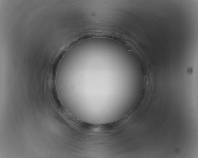 X0000113280564200909140944
