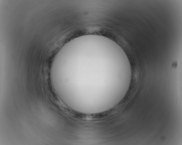 X0000113280565200909140944