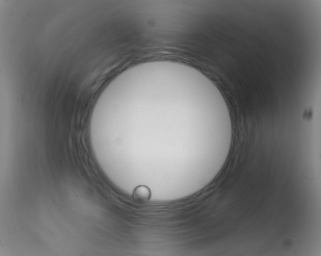 X0000113280566200909140944