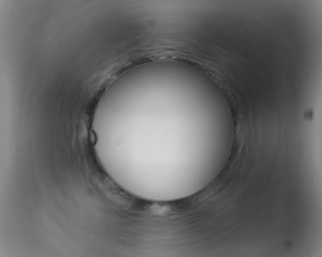 X0000113280570200909140944