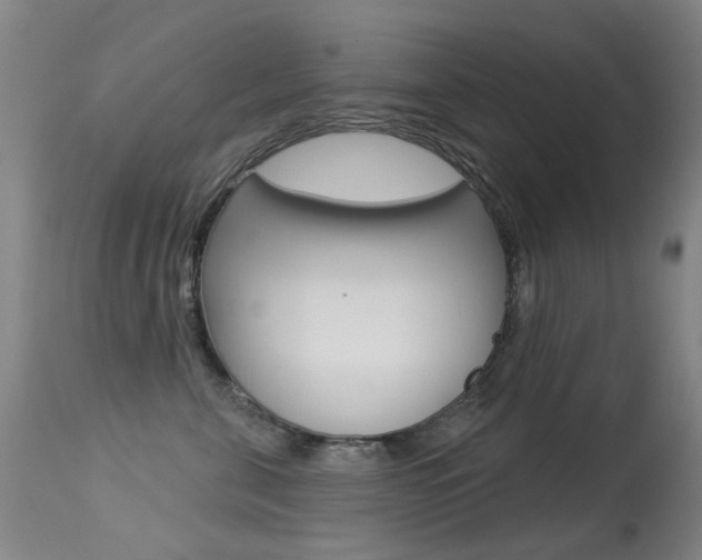 X0000113280571200909140944