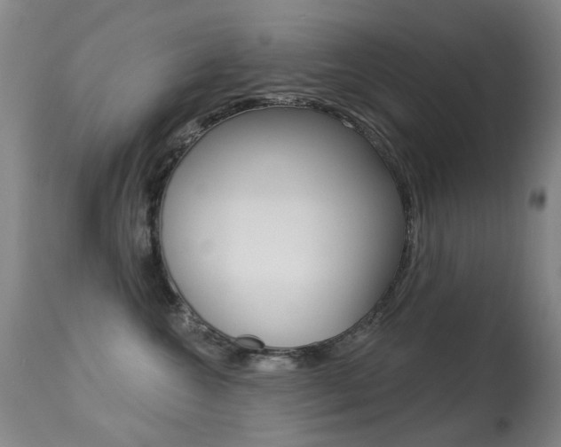 X0000113280572200909140944